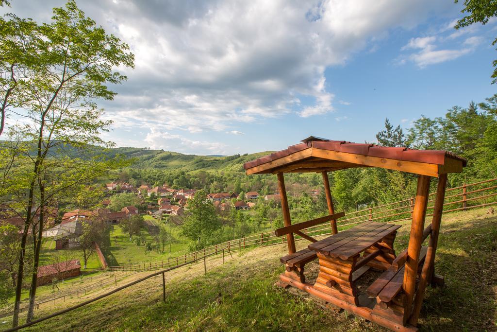 Pensiunea Dor De Casa Pestenita Екстер'єр фото