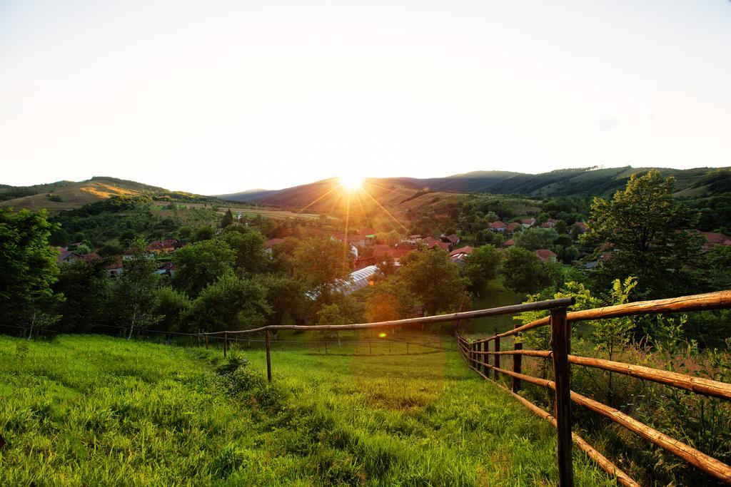 Pensiunea Dor De Casa Pestenita Екстер'єр фото