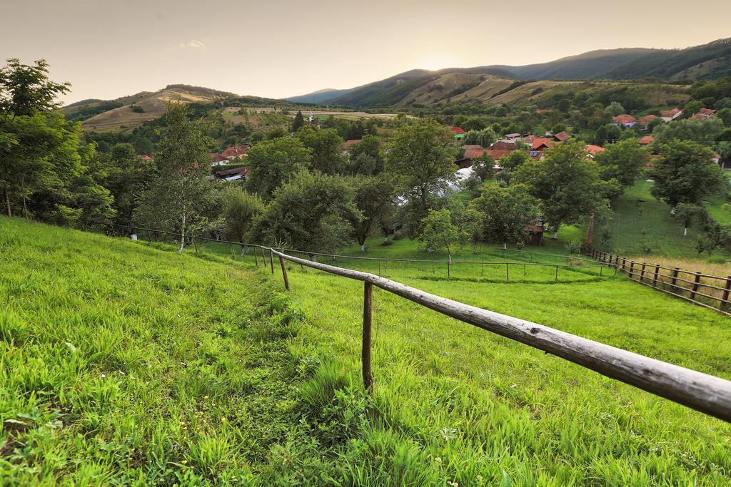 Pensiunea Dor De Casa Pestenita Екстер'єр фото